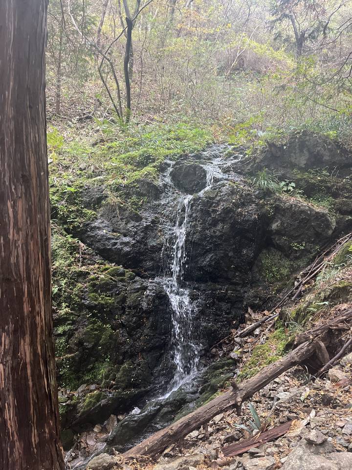 Une petite cascade dans une zone boisée.