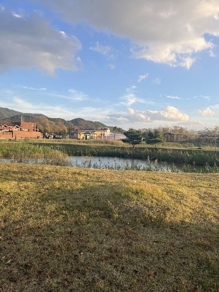 Un paysage herbeux avec un bâtiment au loin.