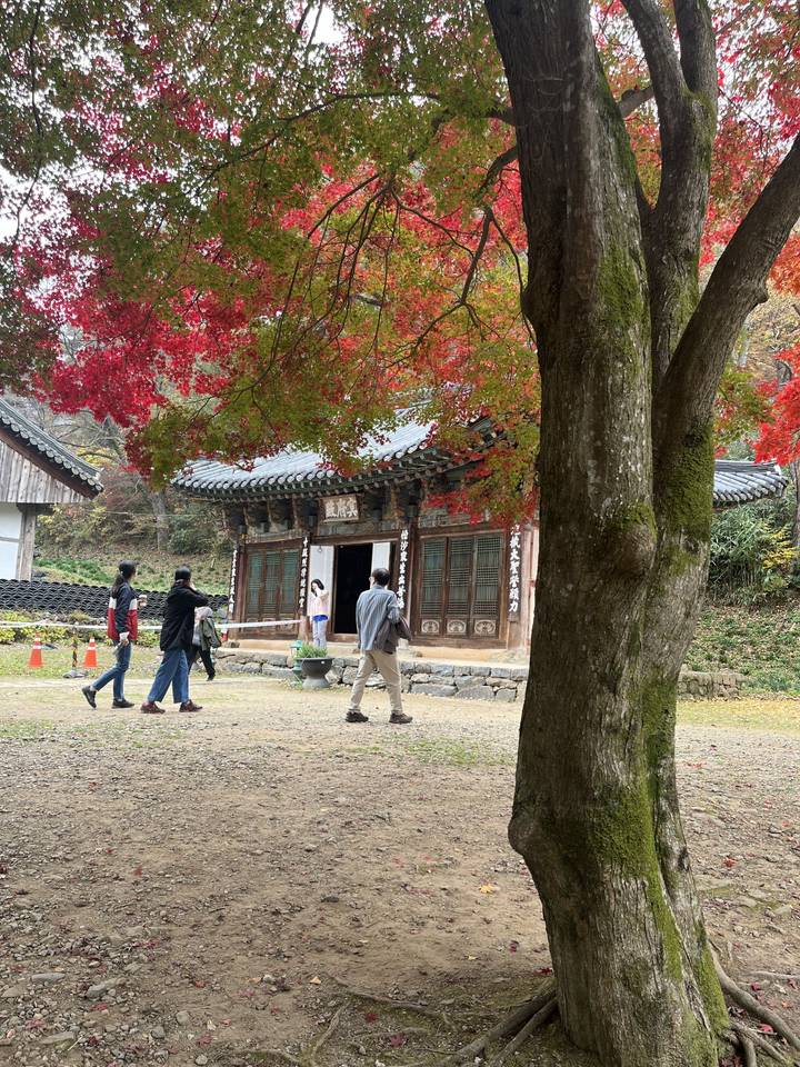 Des gens près d'un bâtiment traditionnel entouré d'arbres d'automne.