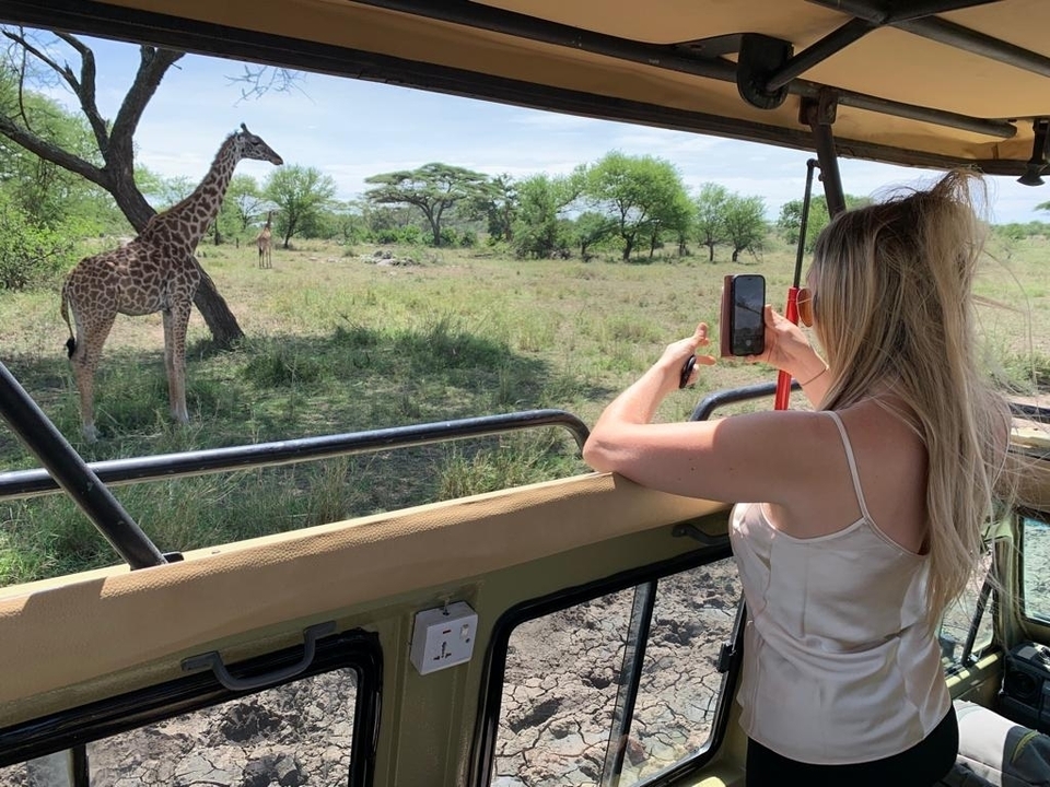 Femme prenant une photo d'une girafe depuis un véhicule de safari.