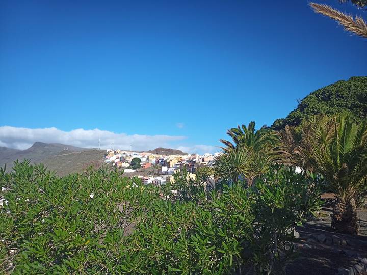 Vue de maisons colorées sur une colline avec des palmiers.