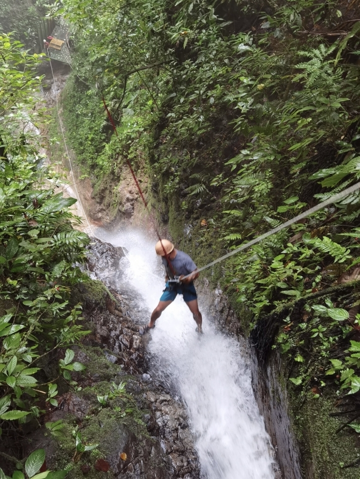 Personne faisant de la descente en rappel le long d'une cascade dans un cadre de forêt luxuriante et verdoyante.