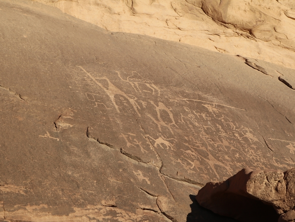 Art rupestre avec gravures et inscriptions anciennes
