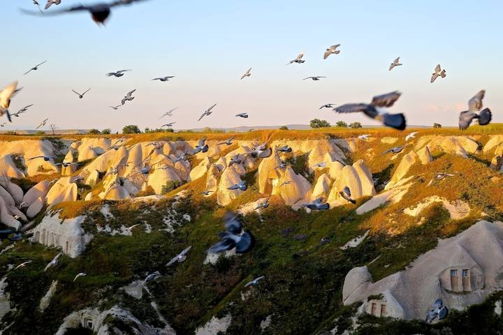 Formations rocheuses avec des oiseaux volant au-dessus d'un paysage.