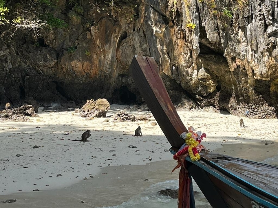 Vue pittoresque de singes sur une plage avec un bateau en bois
