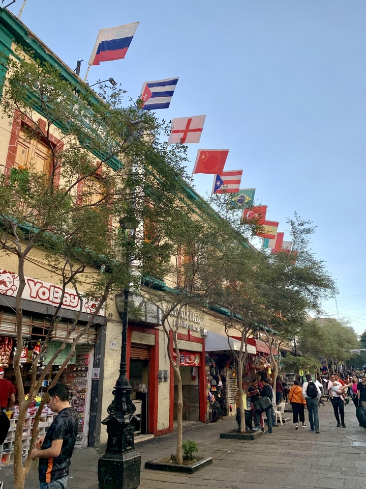 Rue avec des arbres et un bâtiment orné de drapeaux nationaux.