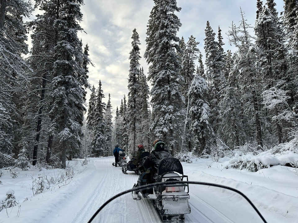 Un groupe de personnes conduisant des motoneiges sur un sentier enneigé à travers une forêt.