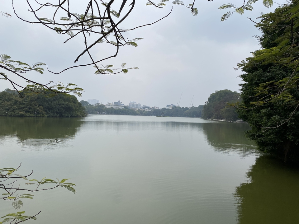 Lac calme entouré d'arbres avec un horizon urbain au loin.