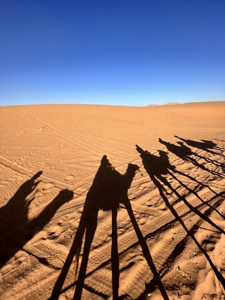 Ombres de chameaux et de cavaliers sur le sable du désert