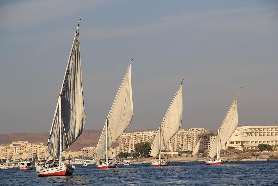 Voiliers sur une rivière avec une ville en arrière-plan.
