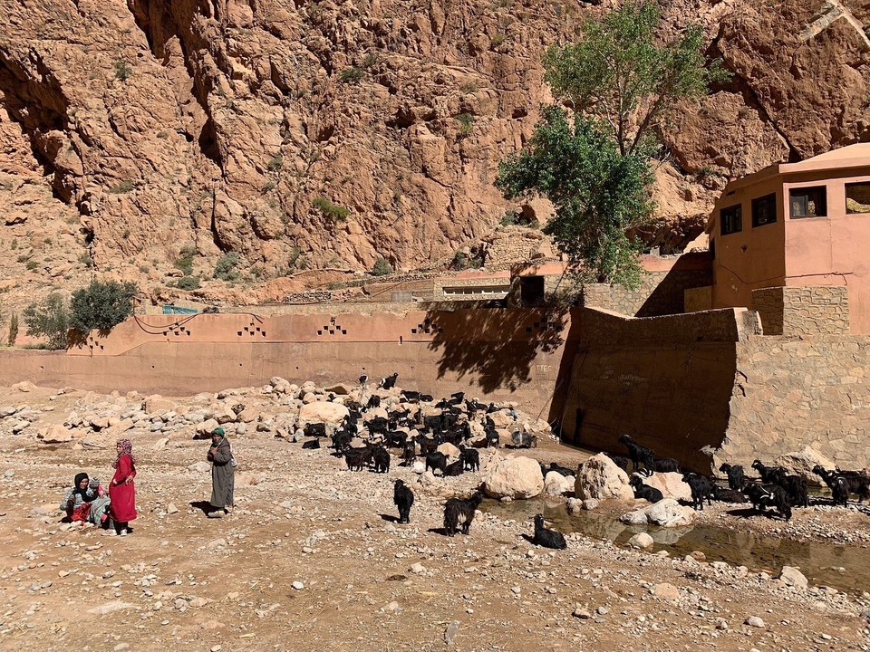 Menschen und Ziegen in einer felsigen Landschaft bei einem Bauwerk.