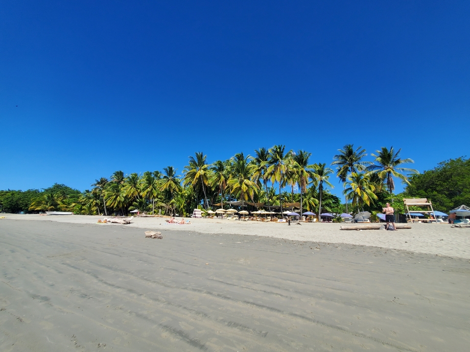 Plage ensoleillée avec des palmiers et un ciel bleu.