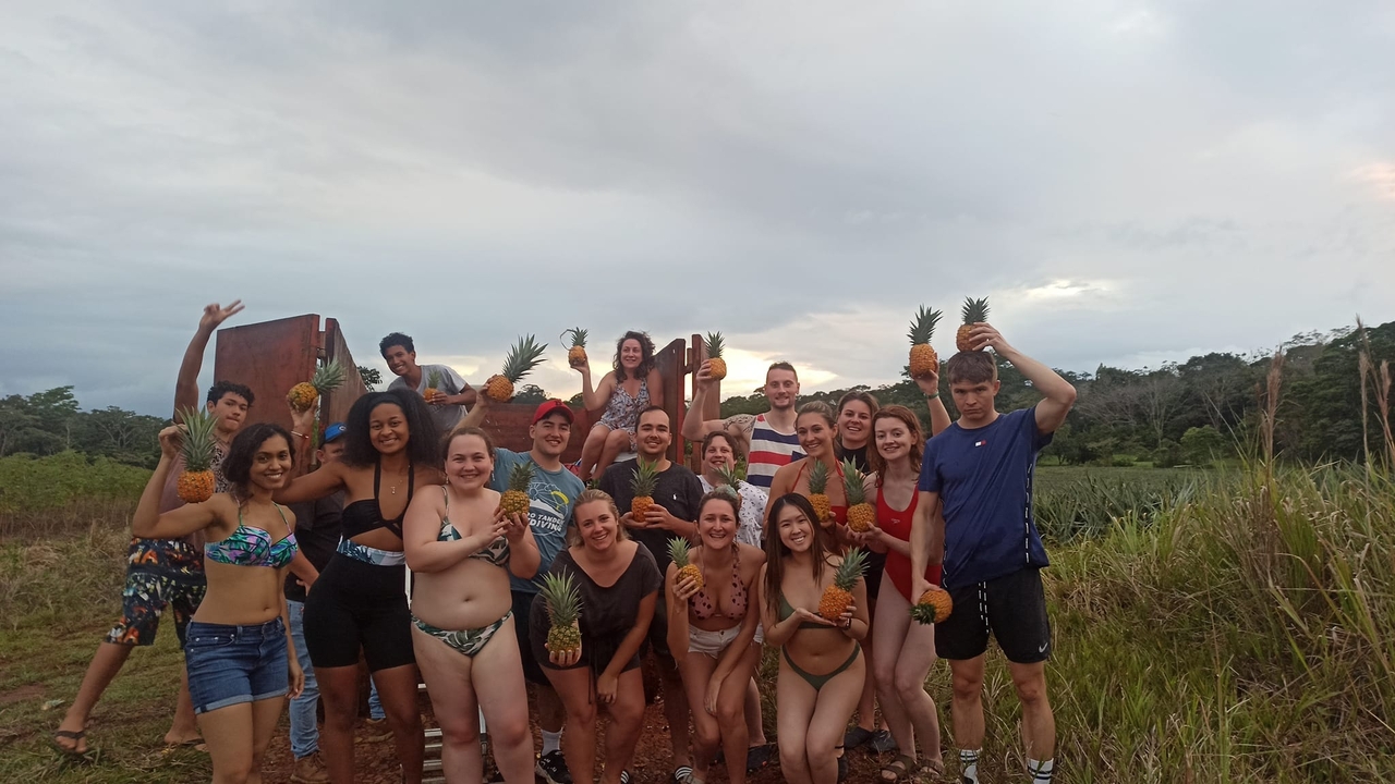 Un groupe de personnes tenant des ananas dans un champ sous un ciel nuageux.