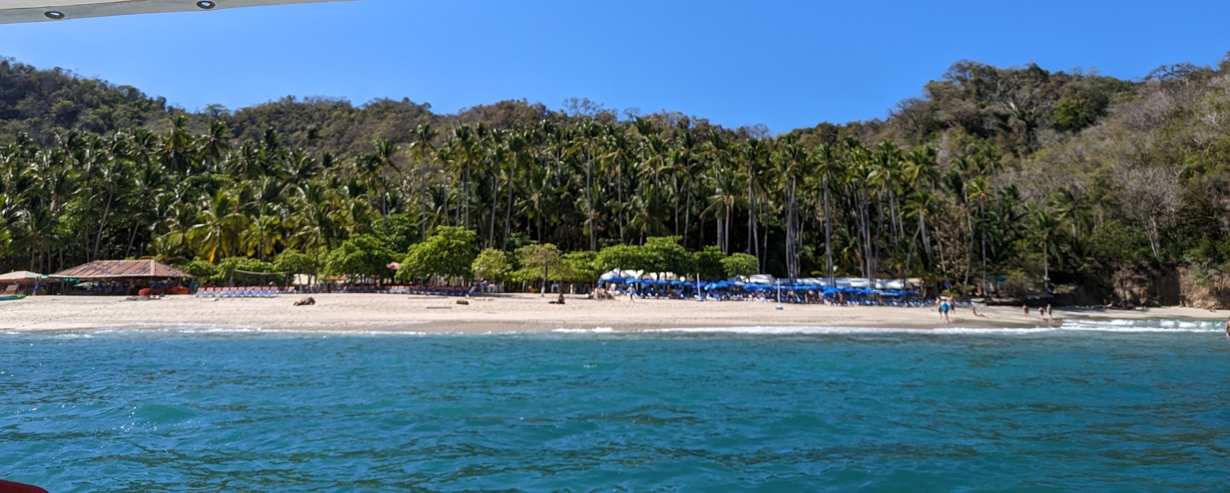Une vue sur la plage avec des palmiers en arrière-plan et l'eau bleue de l'océan.