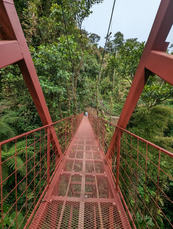 Une passerelle métallique rouge traversant une forêt tropicale luxuriante.