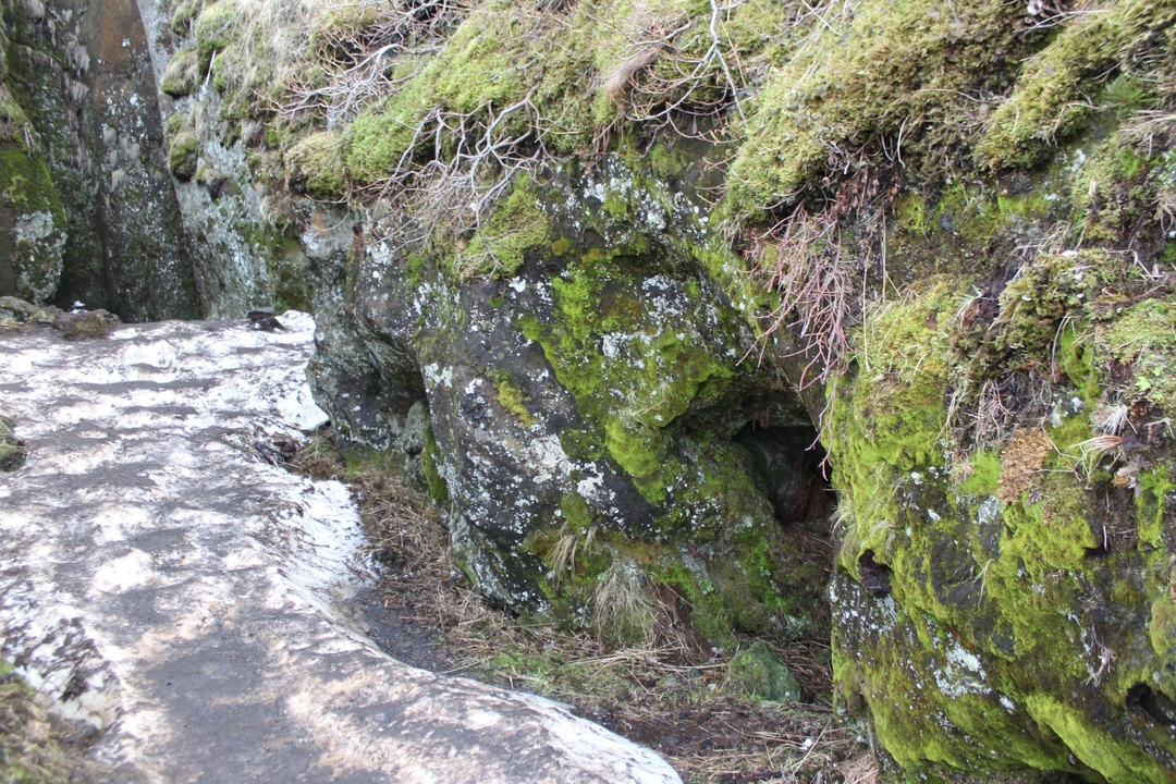 Rochers couverts de mousse dans un terrain accidenté