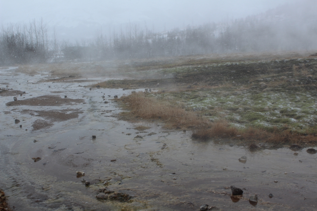 Paysage brumeux et partiellement gelé avec un ruisseau
