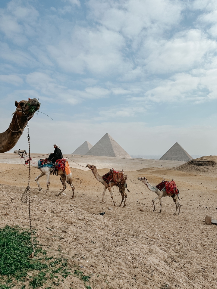 Des gens montant des chameaux devant les pyramides sous un ciel dégagé.
