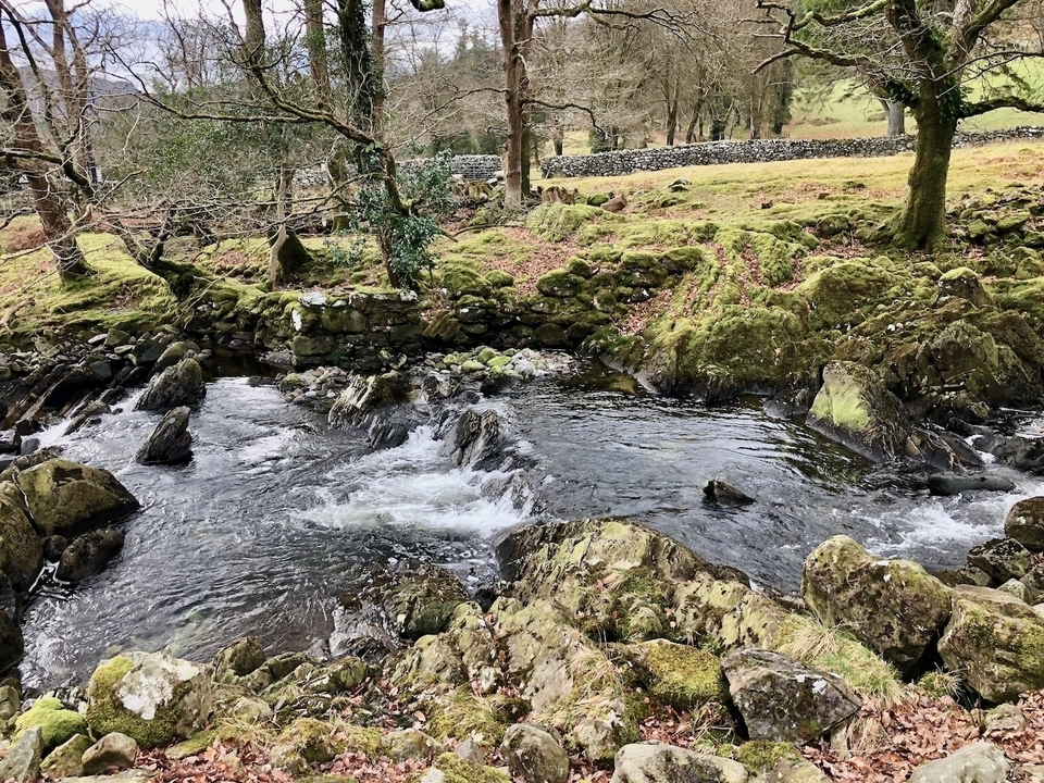 Une rivière qui coule à travers un terrain rocheux couvert de mousse.
