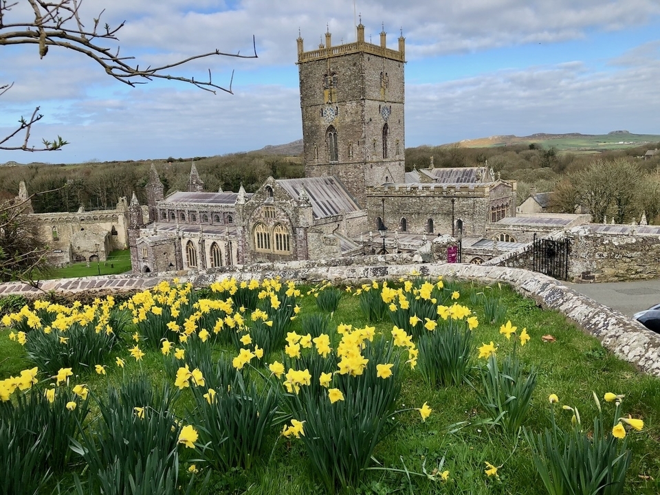 Une belle cathédrale avec des jonquilles au premier plan.