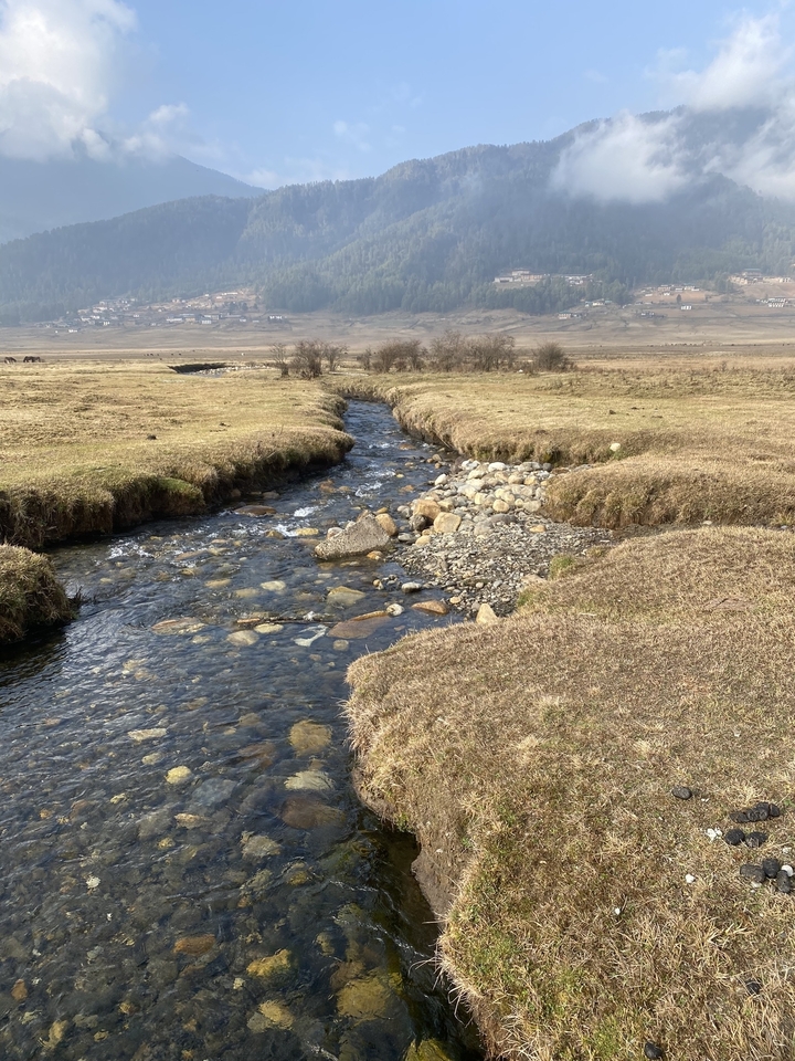 Un petit ruisseau qui traverse un paysage de prairie.