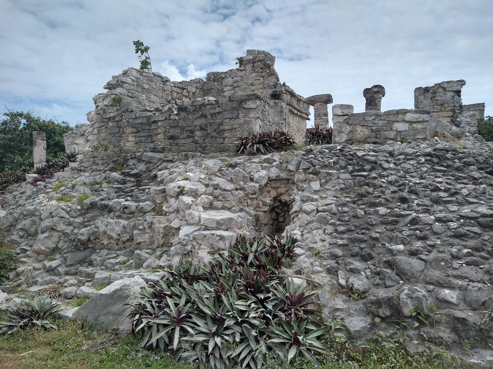 Anciennes ruines de pierre avec des plantes qui poussent autour.