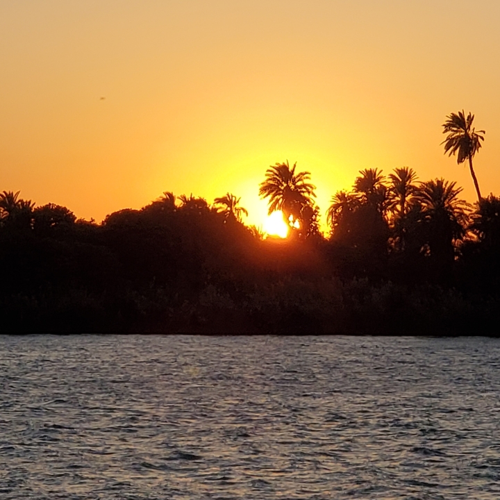 Coucher de soleil sur une rivière avec des palmiers en silhouette.