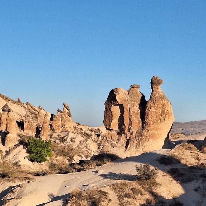 Des formations rocheuses uniques dans un paysage désertique.
