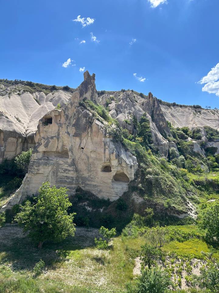 Falaise avec formations rocheuses et verdure.