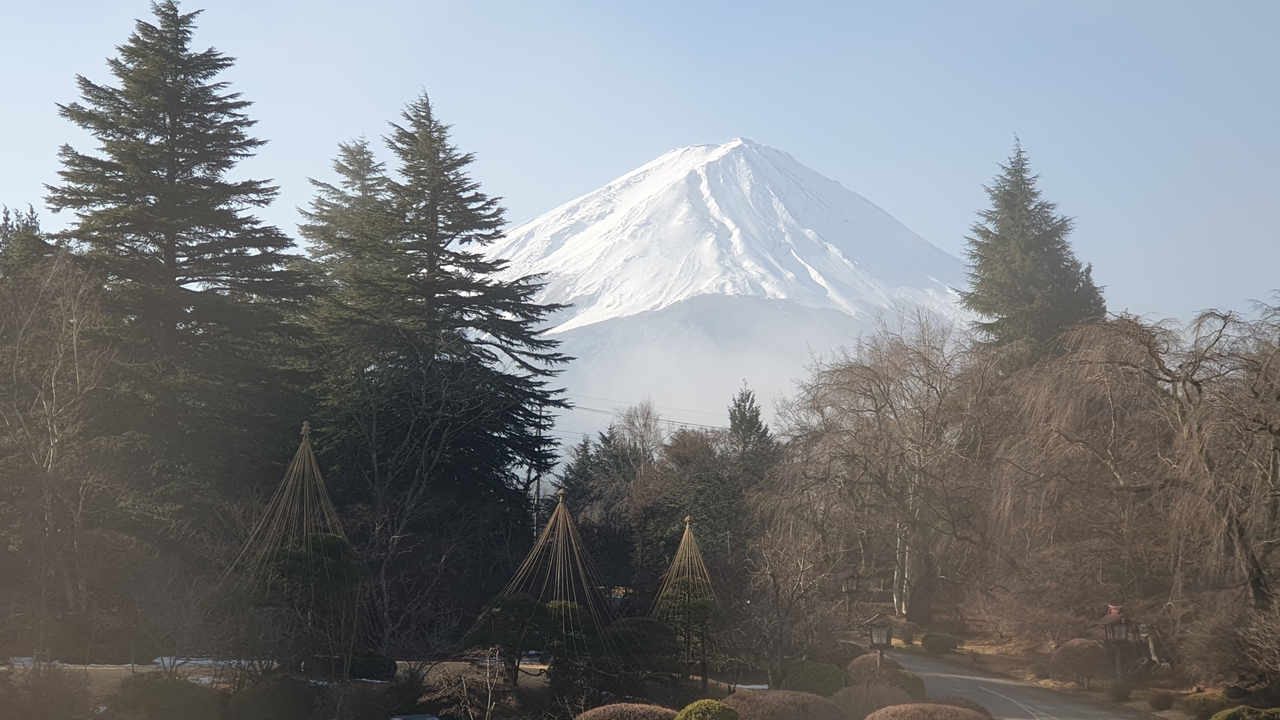 Le mont Fuji avec des arbres et de la brume au premier plan.
