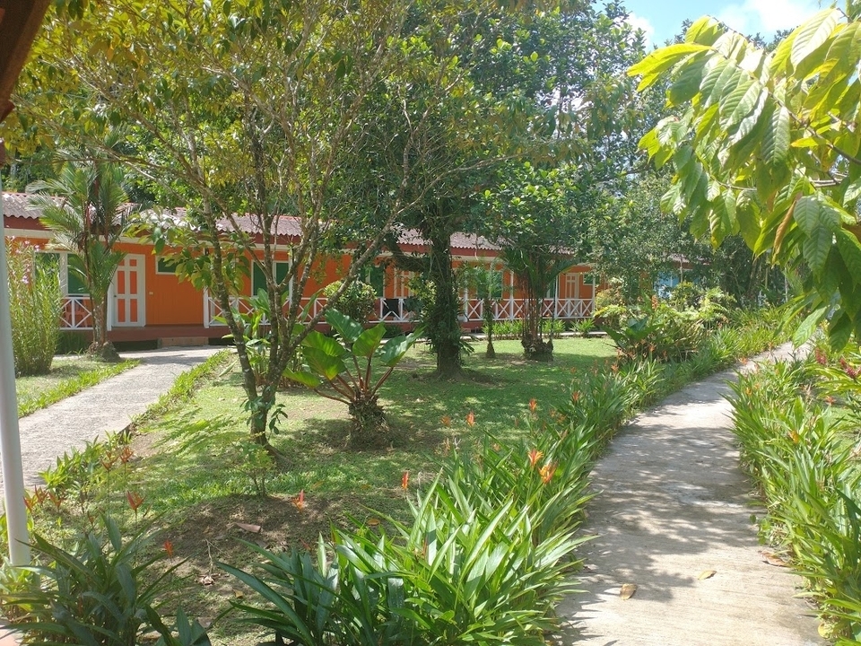 Rangée de cottages avec des jardins luxuriants.