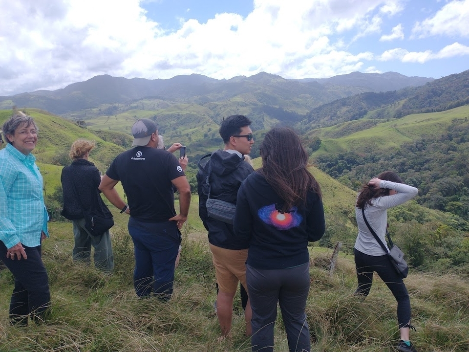 Groupe de personnes profitant d'une vue panoramique sur les collines verdoyantes.