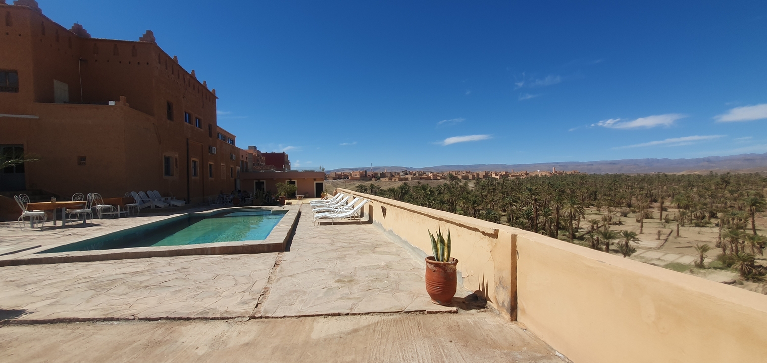Espace piscine de l'hôtel avec vue sur une oasis de palmiers et les montagnes.