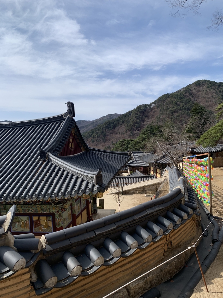 Toits traditionnels de temple coréen avec montagne en arrière-plan.
