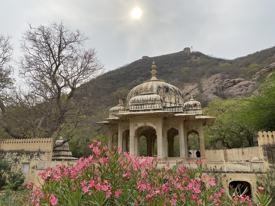 Une structure à dôme de marbre blanc entourée de verdure.