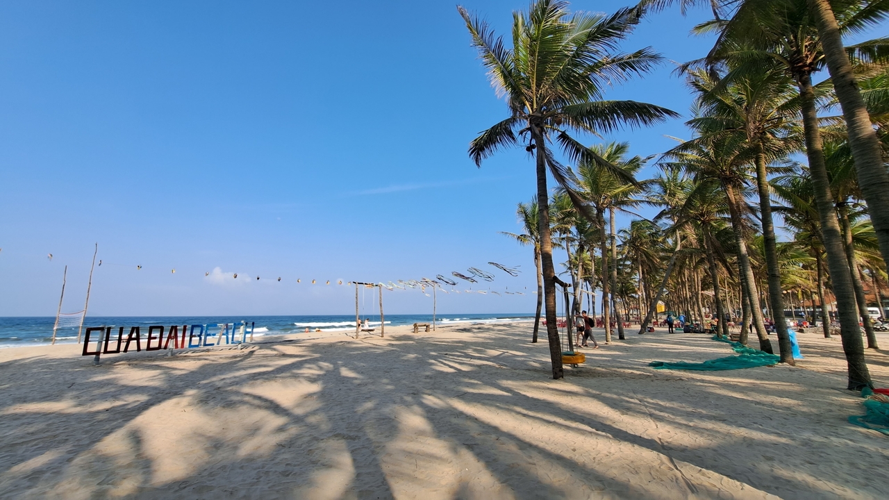 Plage bordée de palmiers avec panneau, ciel bleu clair.