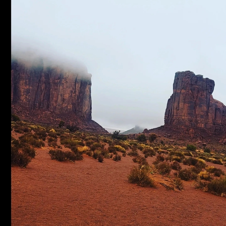Paysage brumeux avec de hautes formations rocheuses et de la végétation désertique.