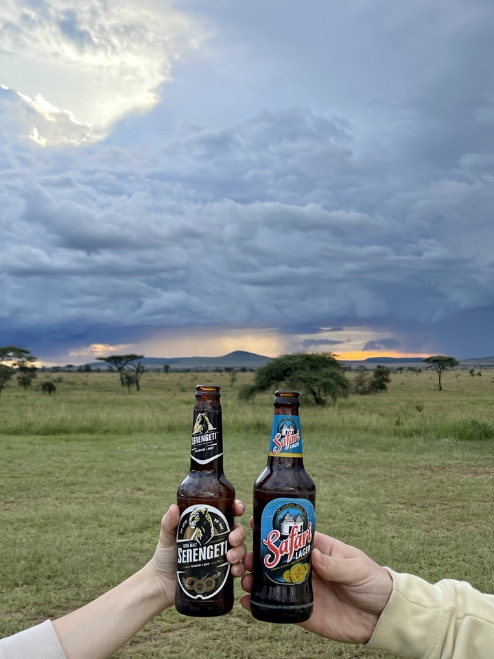 Vue panoramique des plaines avec des bouteilles de bière au premier plan.