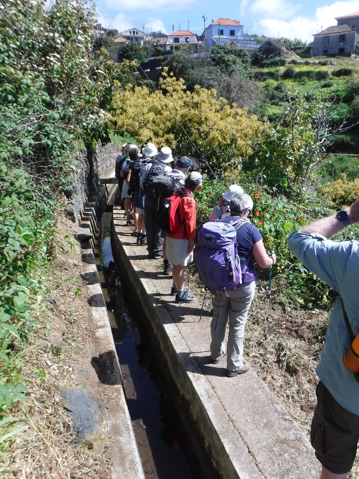 Groupe de personnes faisant de la randonnée le long d'un sentier étroit avec de la verdure.