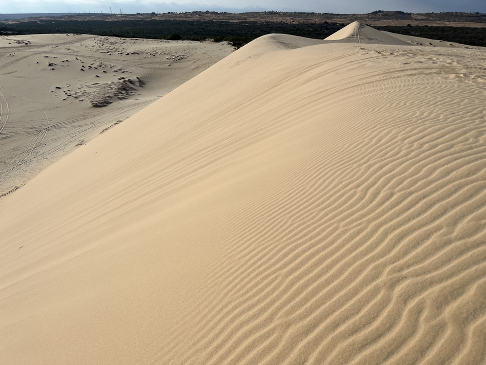 Gros plan de dunes de sable aux motifs complexes.