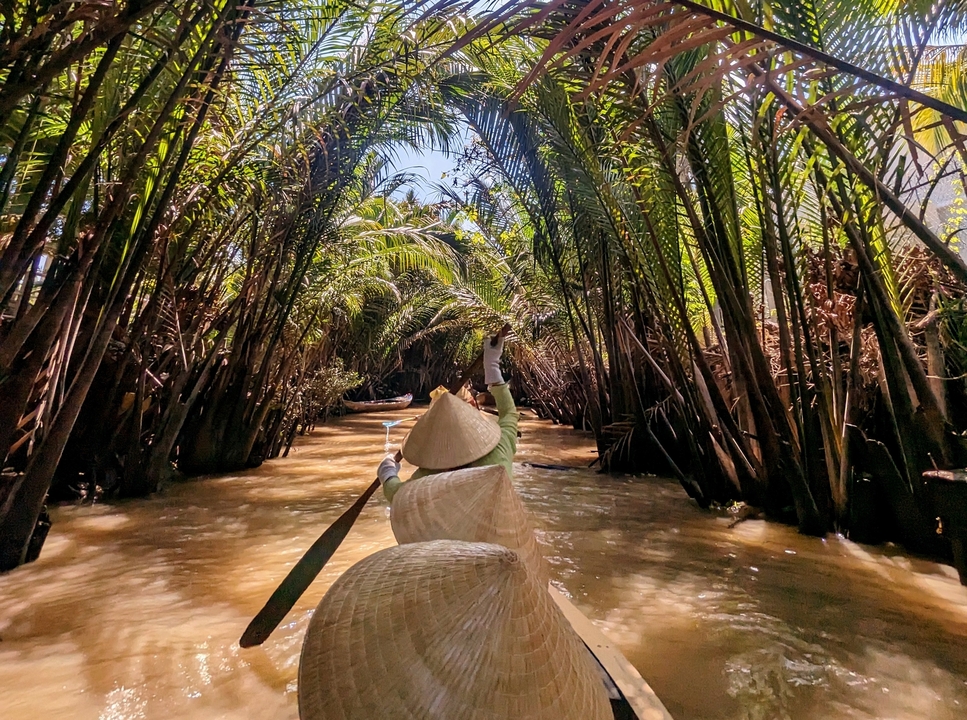 Personne pagayant à travers un canal forestier.