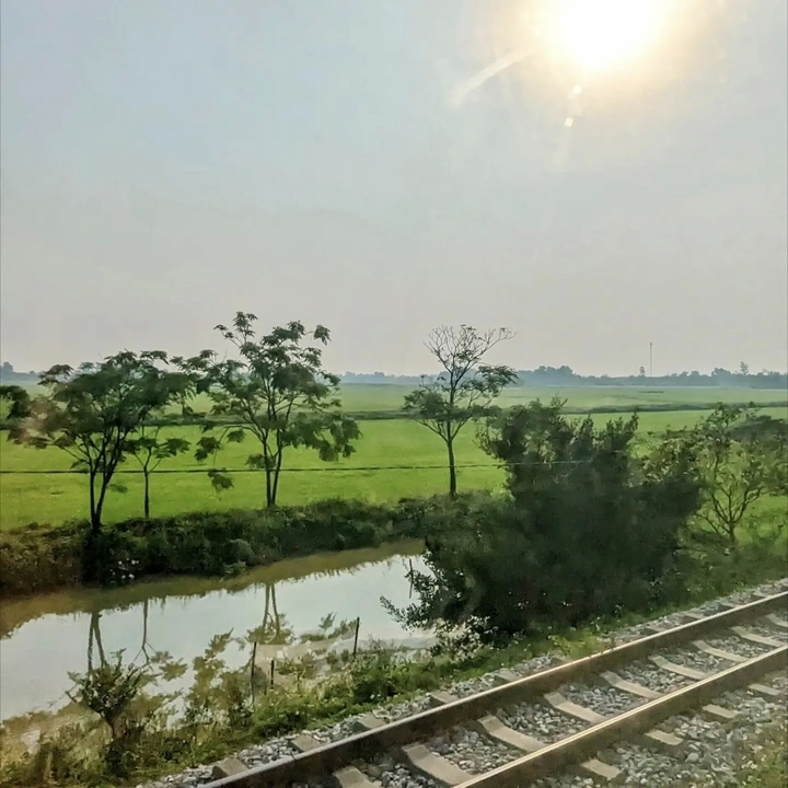 Vastes champs verts avec des arbres au loin et un canal.