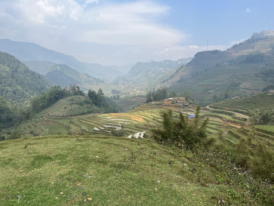 Des rizières en terrasses dans une région vallonnée avec des montagnes en arrière-plan.