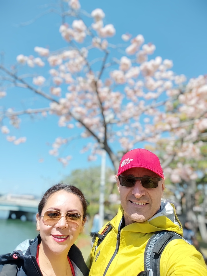 Une personne avec un chapeau rouge qui pose devant des fleurs de cerisier.