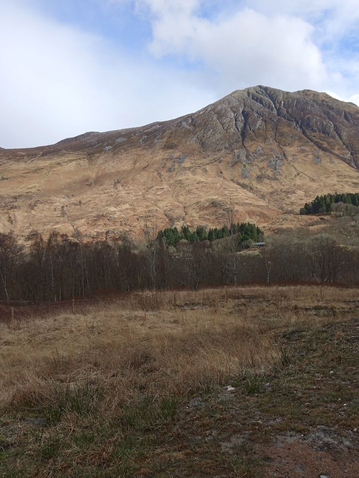 Mountain with trees and brush.
