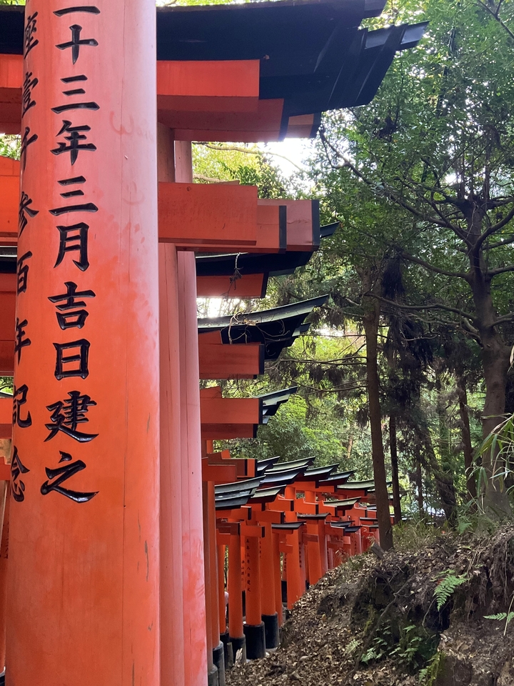 Portiques torii rouges avec des caractères japonais alignés dans un cadre forestier.
