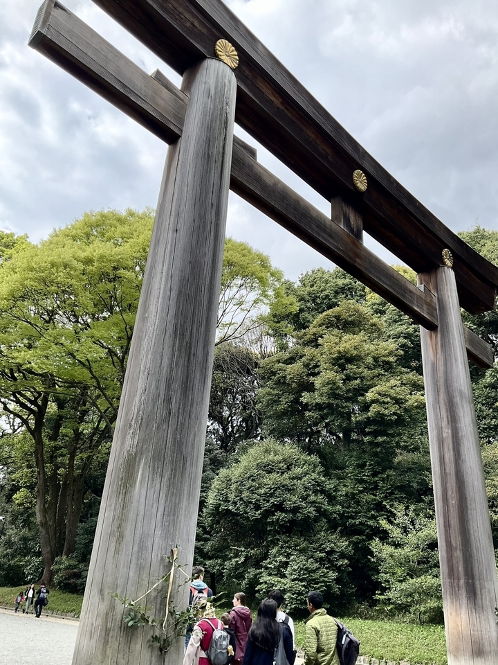 Une grande porte torii entourée d'arbres verts luxuriants dans un jardin.