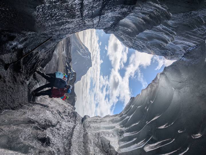 Macareux debout sur un terrain herbeux.