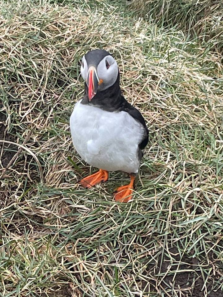 Cascade d'eau qui dévale sur fond de ciel bleu et de paysage.