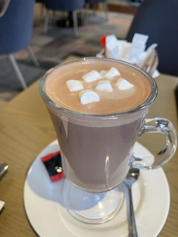 Chocolat chaud garni de guimauves dans une tasse en verre.